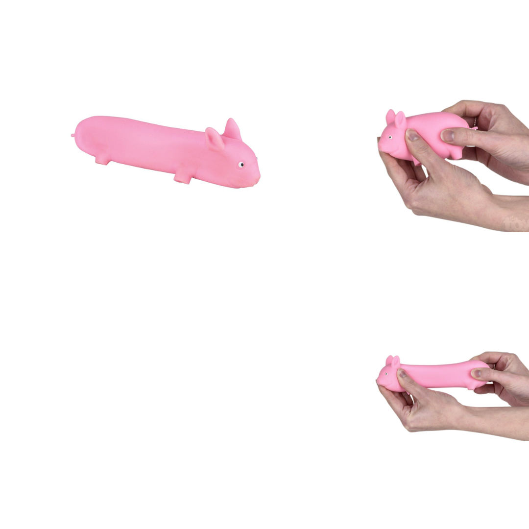 Stretchy Squish Pig
