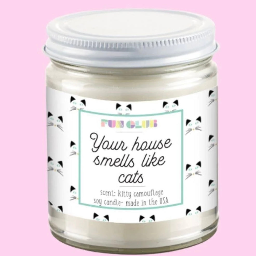 How to Tell If Your House Smells Like Cat: Easy Odor Solutions