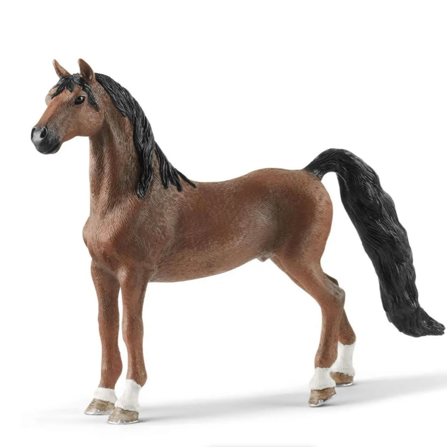 American Saddlebred gelding