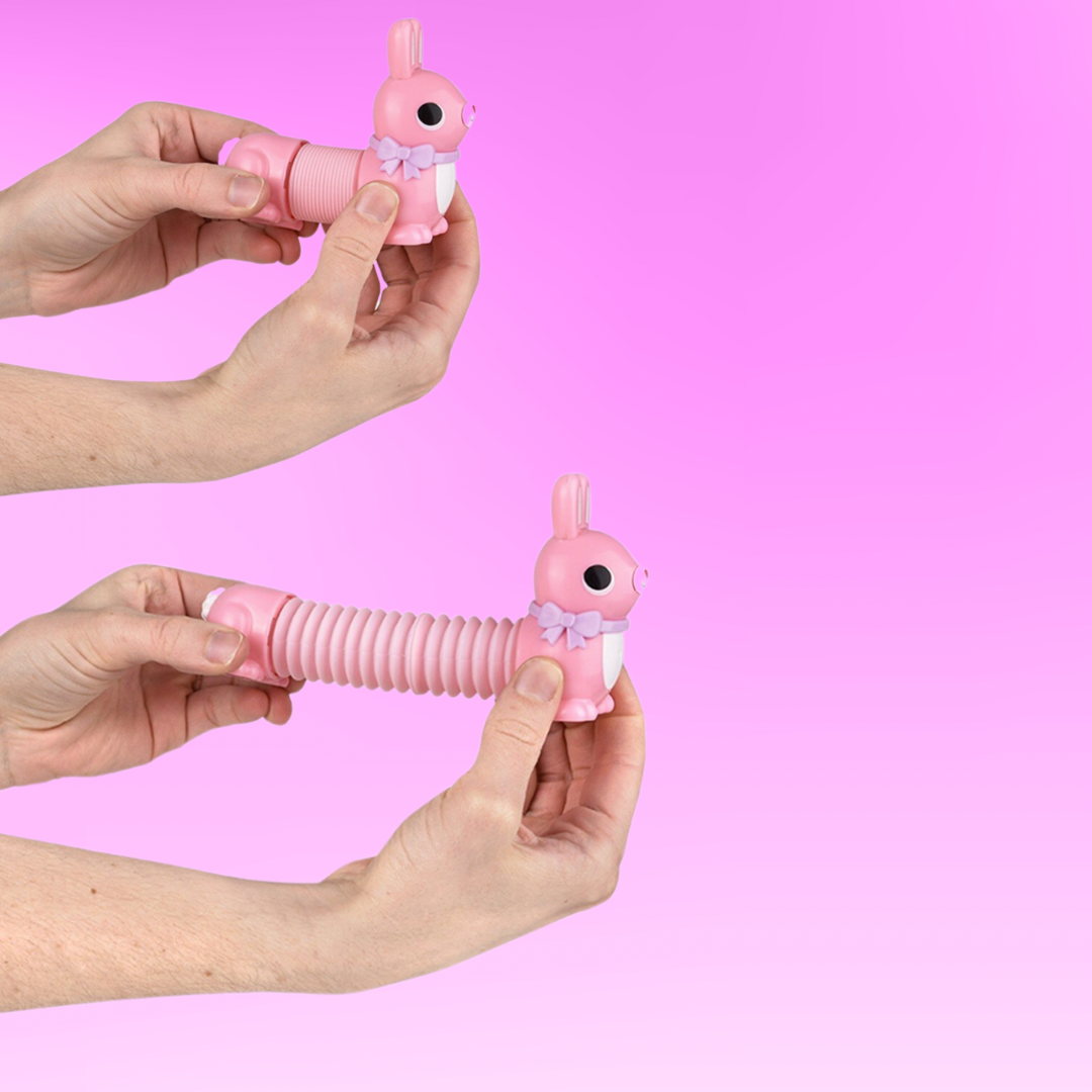 Bunny Fidget Pop Tube