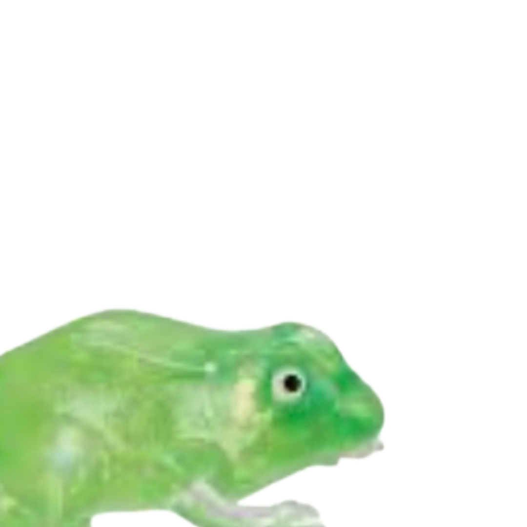 Gummee Squish Frogs