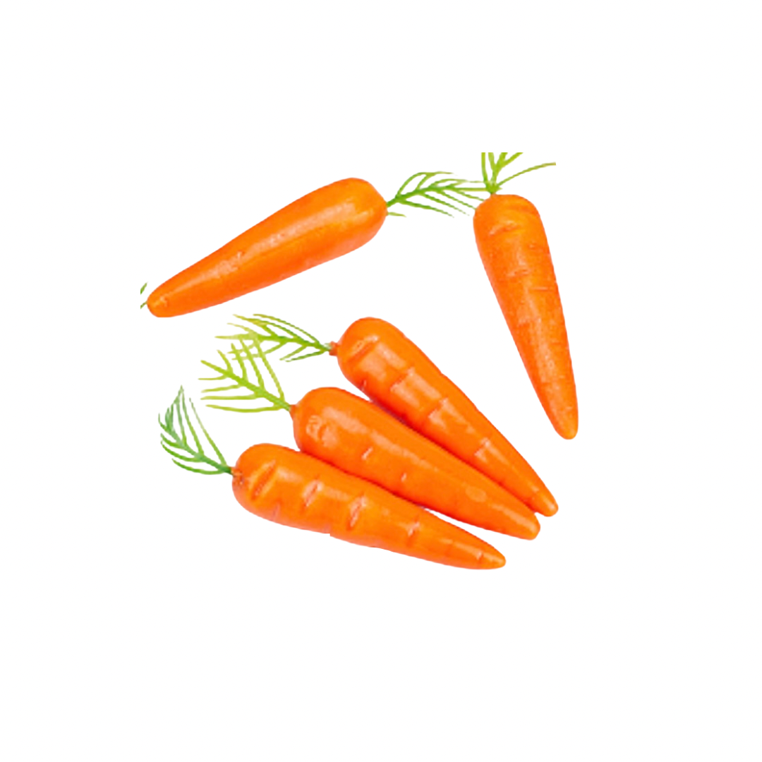 Mini Foam Imitation Carrots