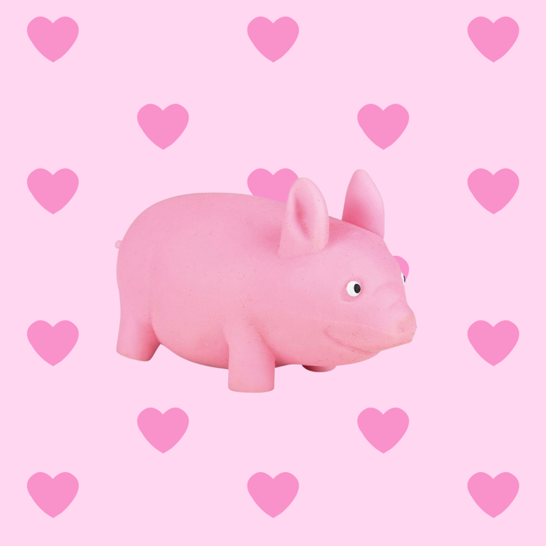 Stretchy Squish Pig