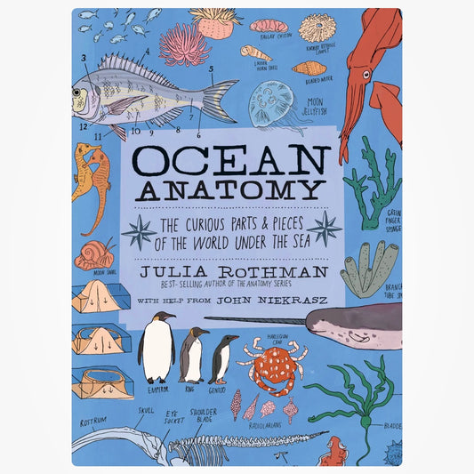 Ocean Anatomy Book
