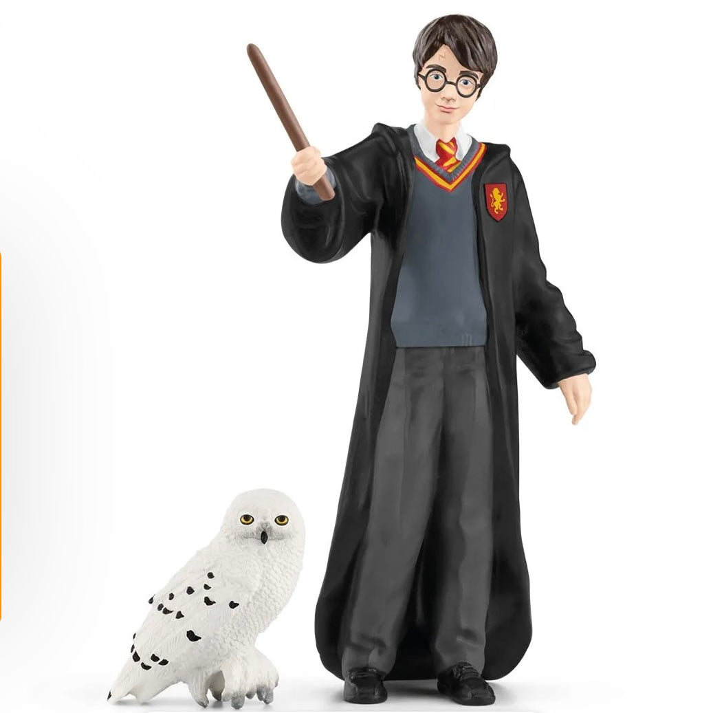 Harry Potter and Hedwig