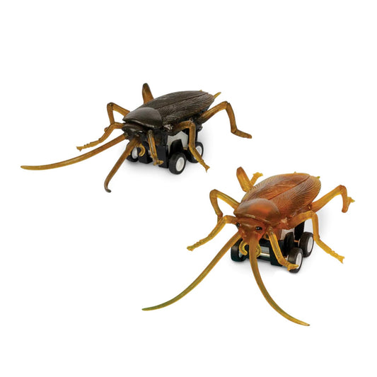 Racing Roaches