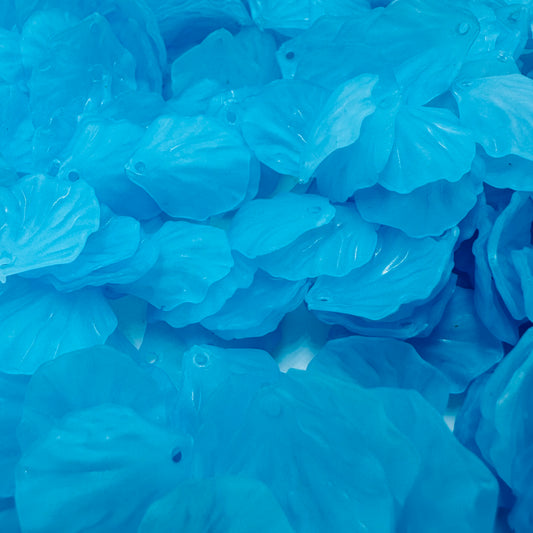 Transparent Frosted Acrylic Petal Leaf Charms