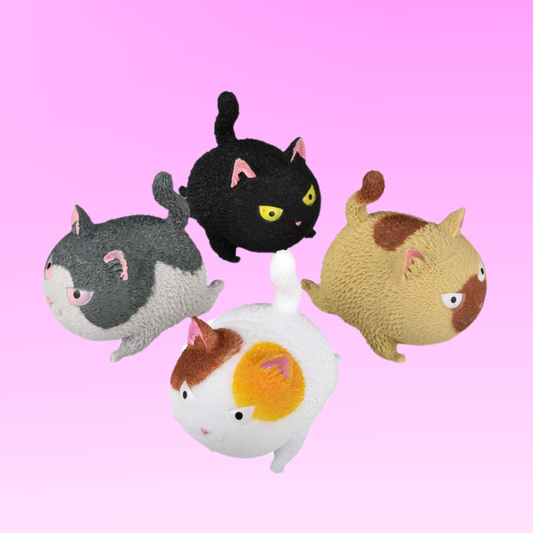 Angry Squishy Cat
