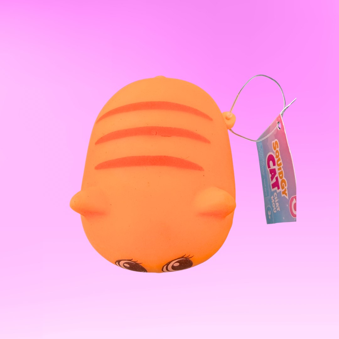 Squishy Cat