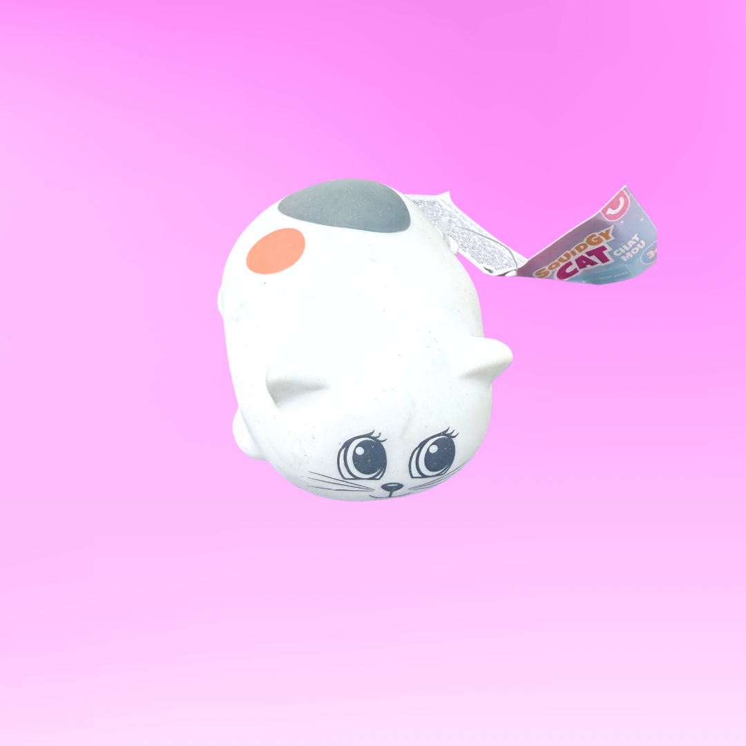 Squishy Cat