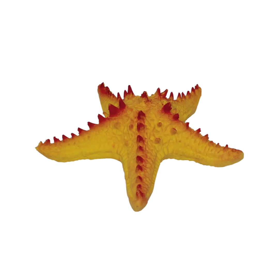 Rep Pals - Starfish Stretchy Replica