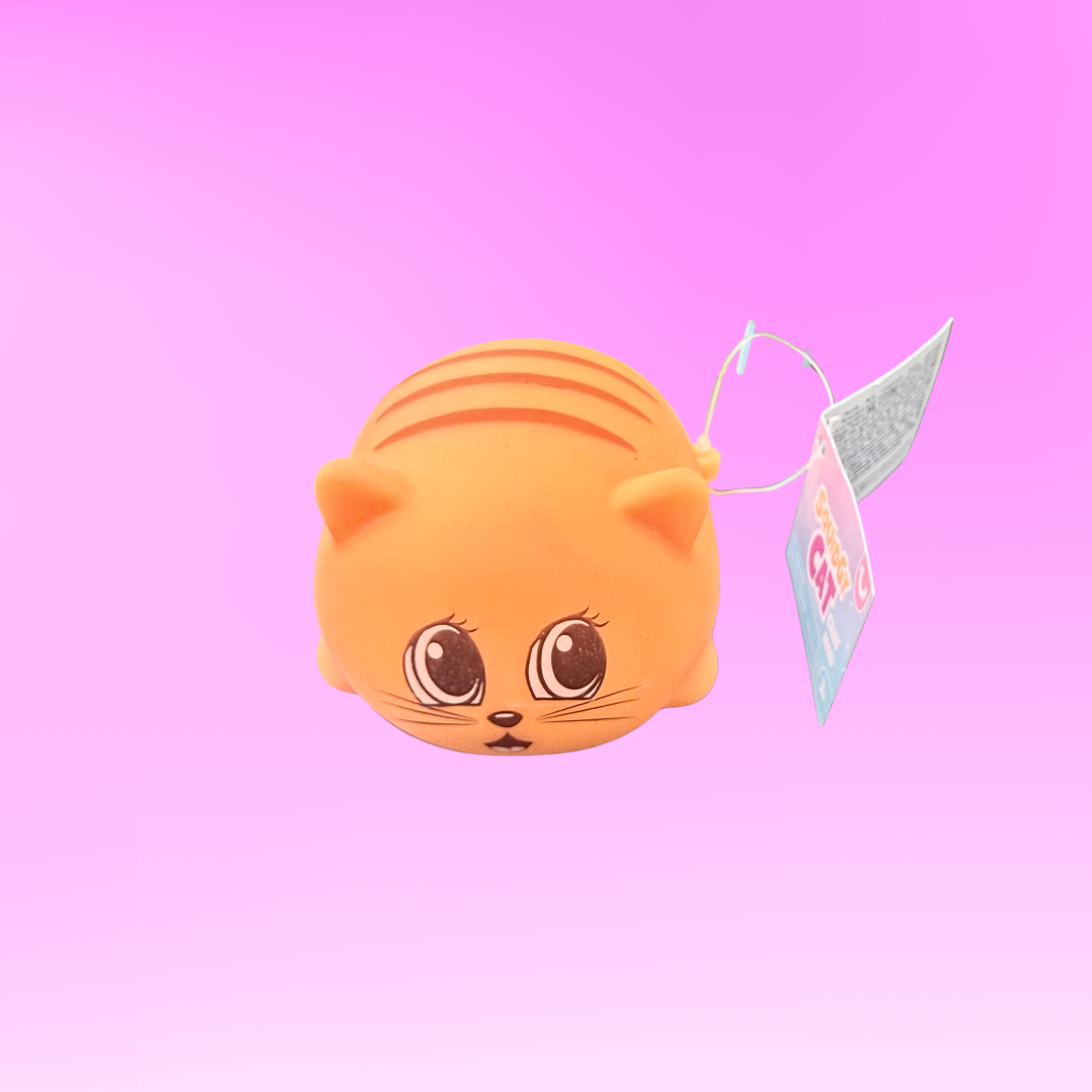 Squishy Cat