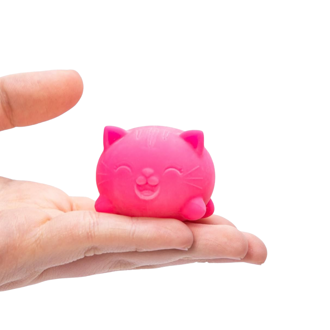 Teenie NeeDoh Cool Cats