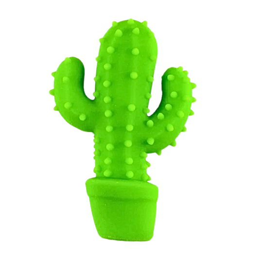Stretchy Cactus
