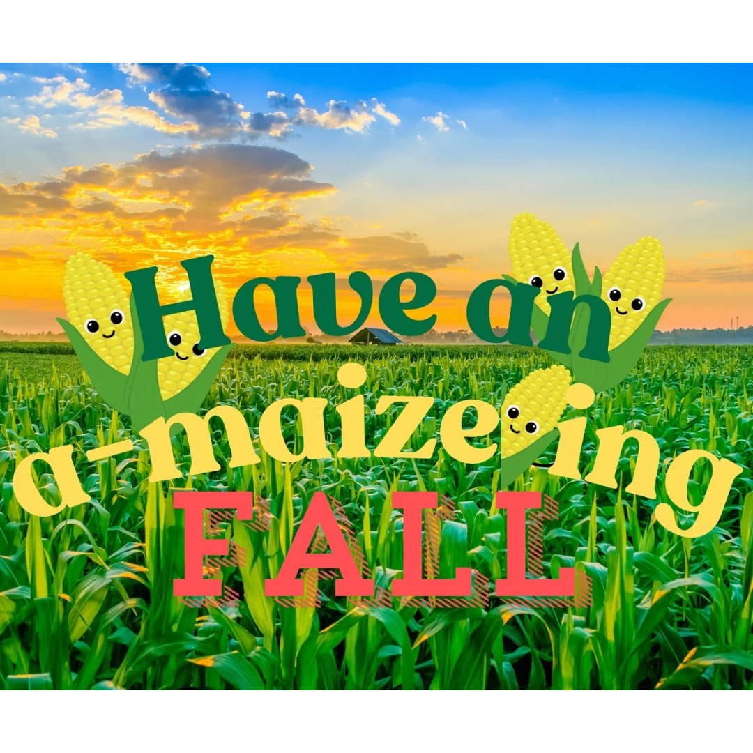 🌽Have an a-maize-ing Fall Slime🍁